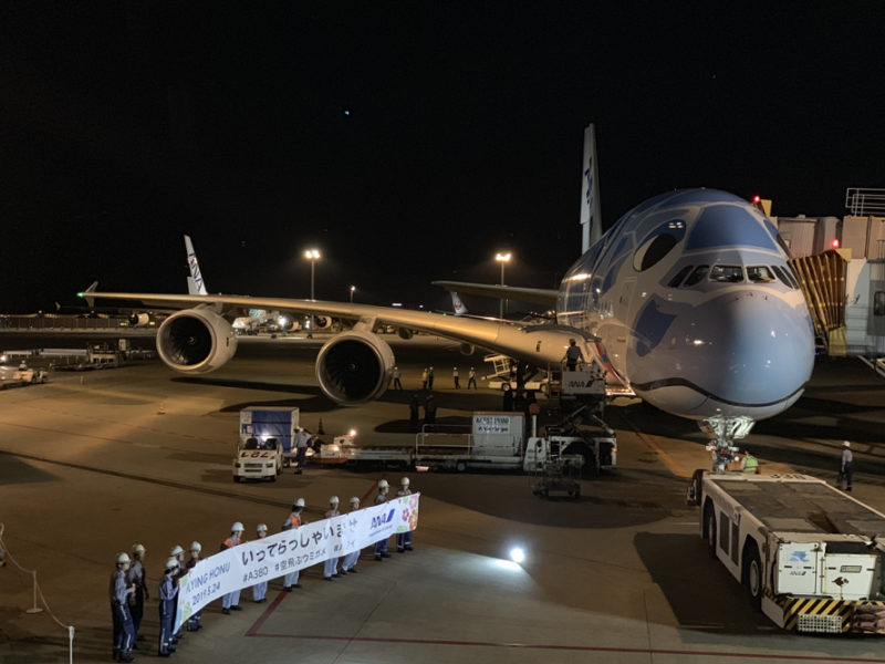 a plane on the runway at night