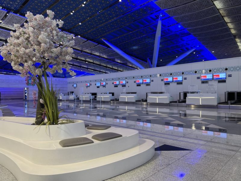 a large room with a white plant and a blue ceiling