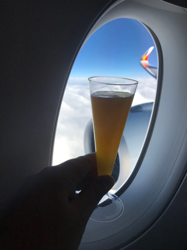 a hand holding a glass of beer