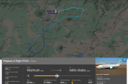 Both Pilots of Ethiopian Airlines Boeing 737 Flight Fell Asleep